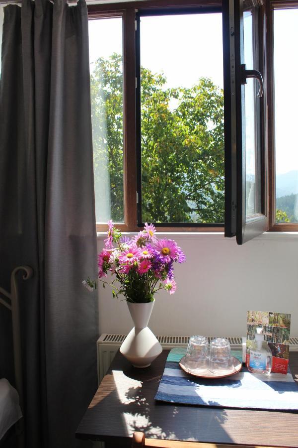 Toon Armeni Guest House Dilidjan Extérieur photo